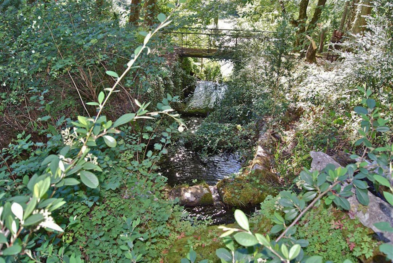 לינה וארוחת בוקר Alzon Chateau Du Mazel מראה חיצוני תמונה