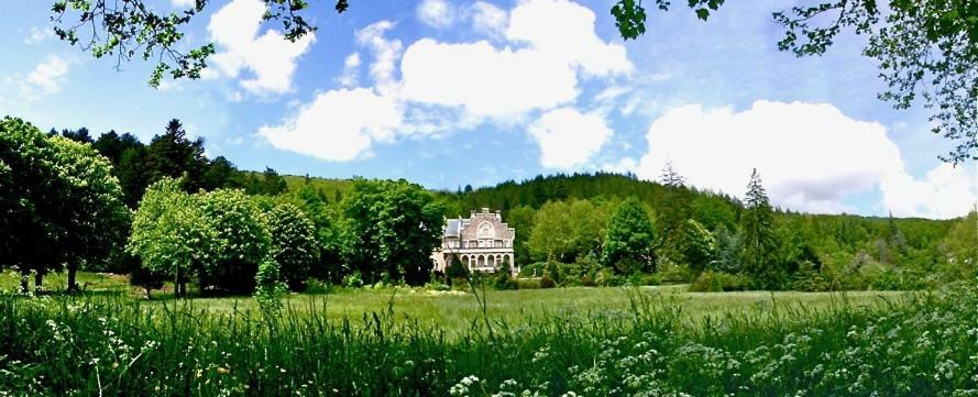 לינה וארוחת בוקר Alzon Chateau Du Mazel מראה חיצוני תמונה